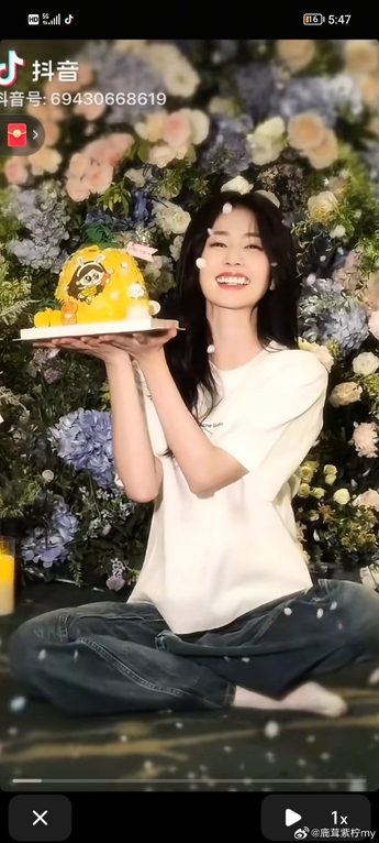 jizjizz 安装步骤示意图